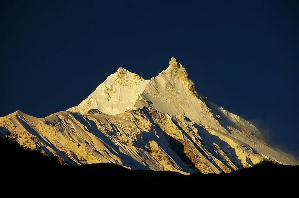 標本 Hyles tatsienluica from Nepal Sunrise_Manaslu.jpg.webp