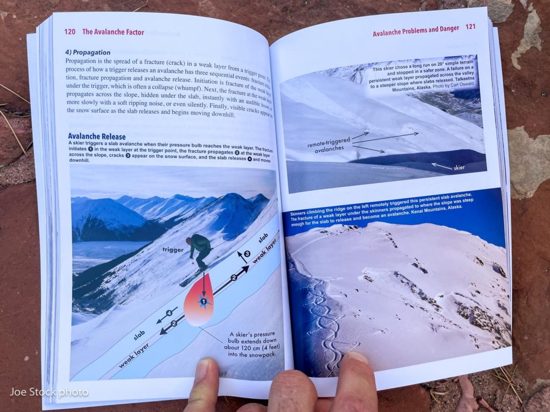 Each two page spread in The Avalanche Factor offers several different methods to better understand the content.