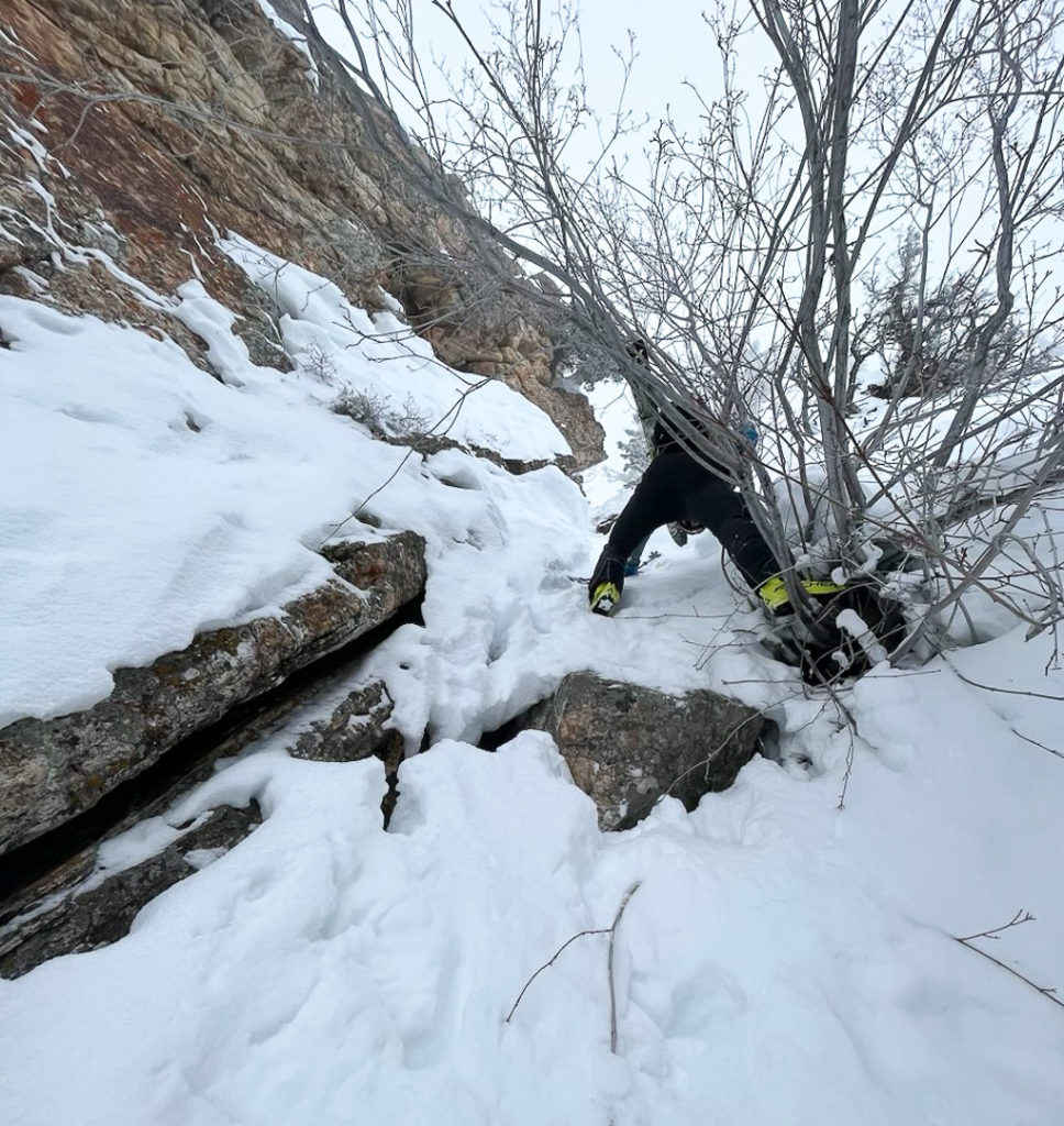 Schwackineering in a neighborhood couloir. We took a wrong turn. Photo: Dillon Spencer