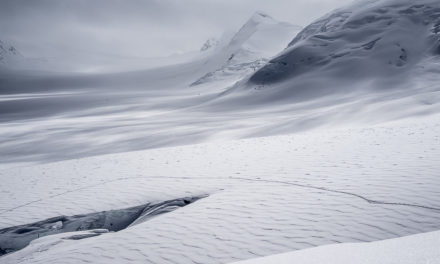 The Evolving Ski Scene on Denali—A Conversation with Denali Ranger Tucker Chenoweth