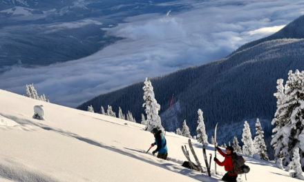 Avalanche Education: Learning the Basics and Brushing up