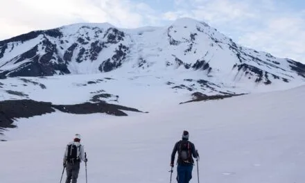 Sticking Like Glue on Mt ADAMS: The NFNWR