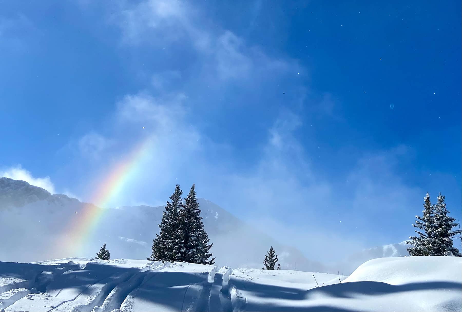Believe it: Unicorns and Rainbows happen. Photo: Pete Vordenberg