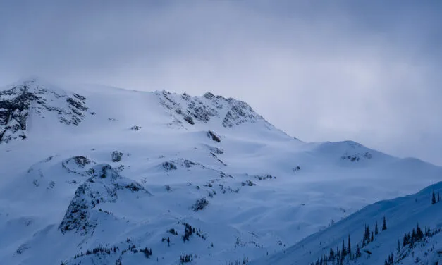 New Research on Trauma and Avalanche Fatalities