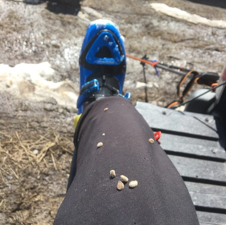 A Hardboot Boot Review for Splitboarding: We Have Options - The High Route