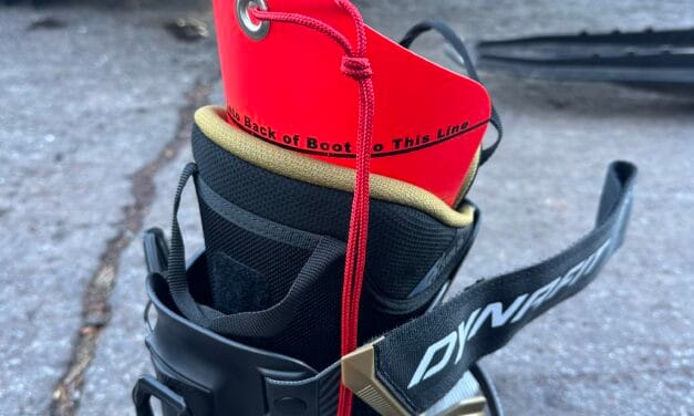 The Alpine Boot Horn