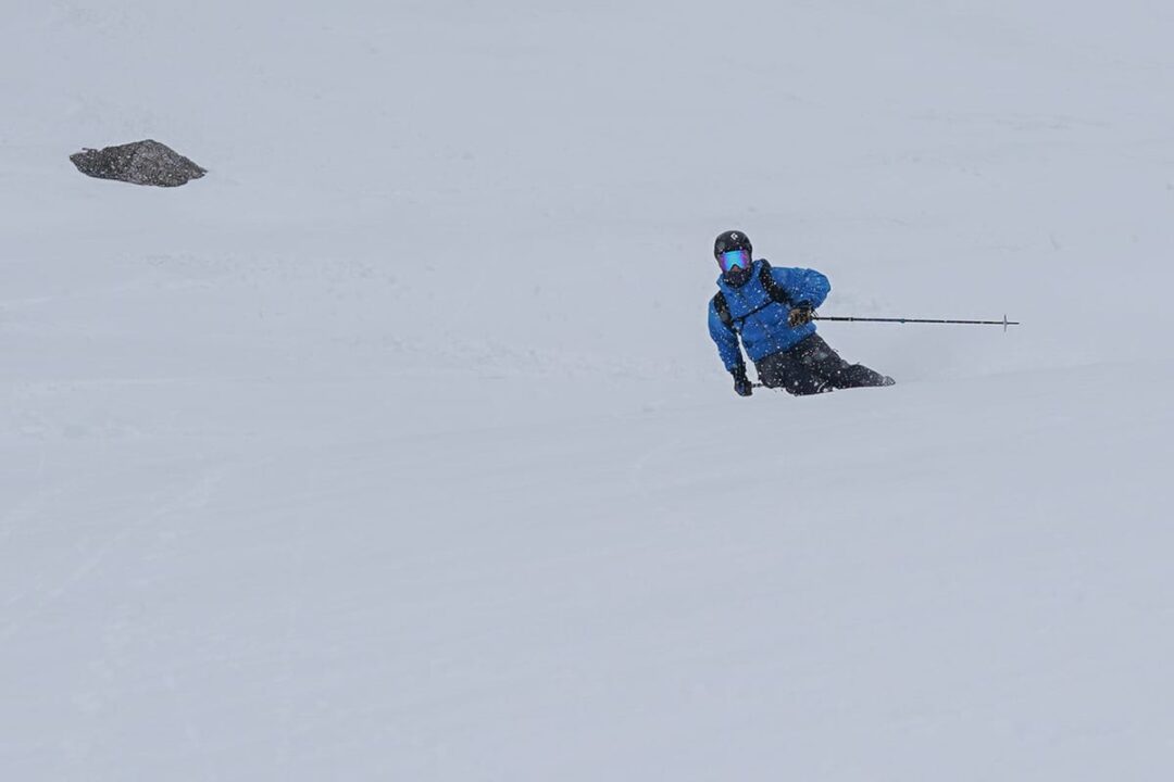 The flax is worthy. Photo: Pete Vordenberg