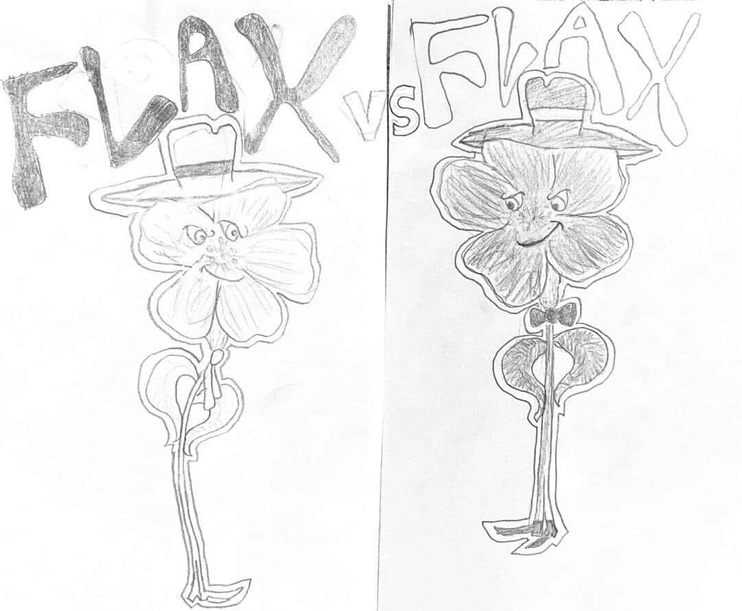 The peaceful cage fight: flax on flax. Drawing: Eloise Vordenberg