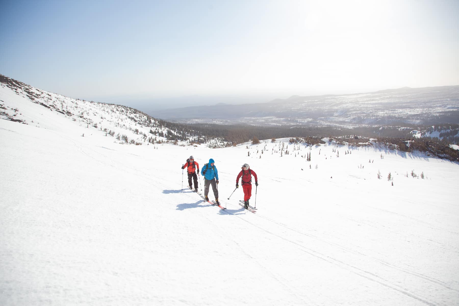 FOMO. Who needs it? Your time will come, even if it remains several months from now. Photo: Aidan Whitelaw