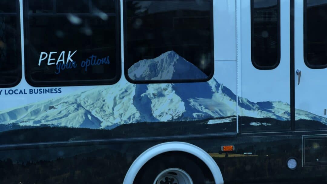 Damn Hoss. From the side of the bus, you could literally trip plan and most definitely daydream.