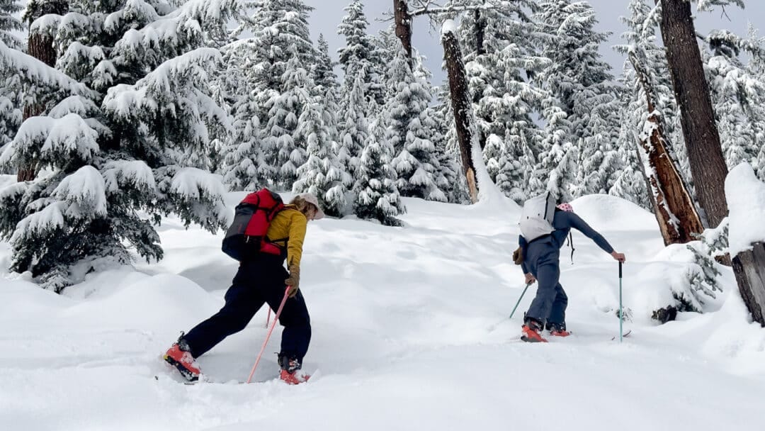It's work, going uphill, but it's the good kind of work. Barry Wicks (left) and Aidan Whitelaw (right) setting the skinner.