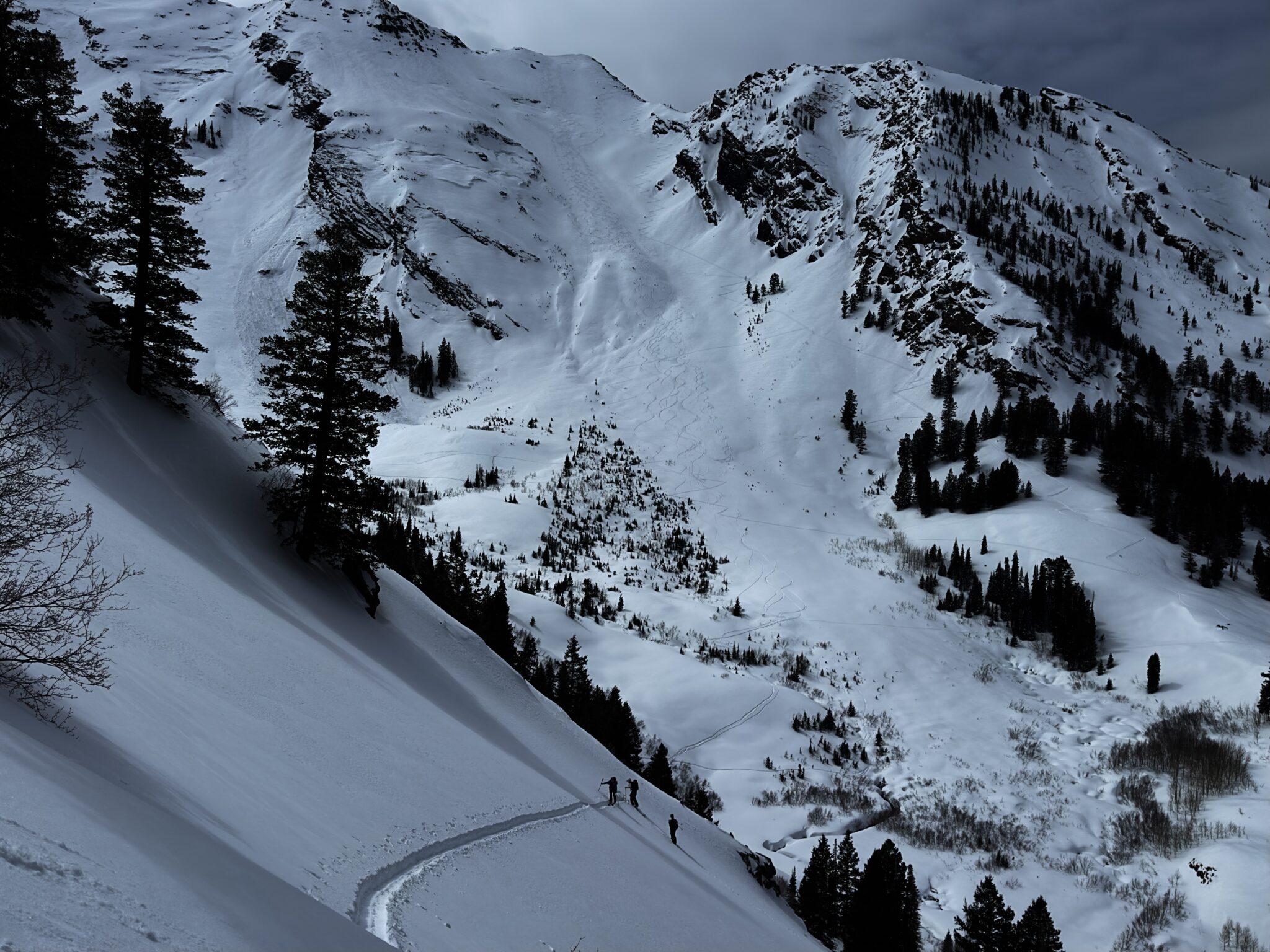 Before we head out and about seeking bliss, now is the time to prepare for the wicked learning environment.