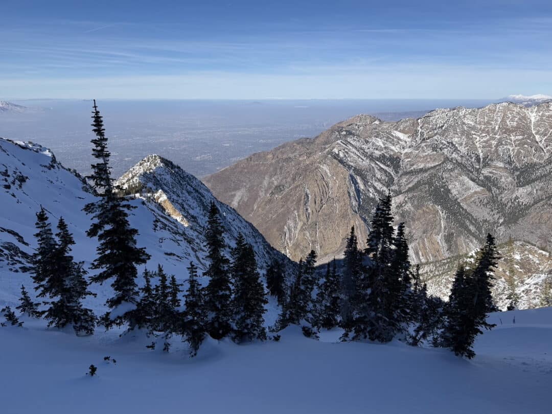 From snow, to log, to dirt. A low-tide SLC.