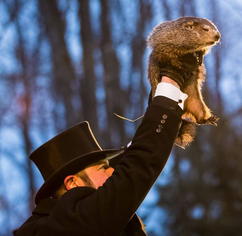 All hail: Punxsutawney Phil. This chill member of the squirrel family has our backs. Photo: Chris Flook