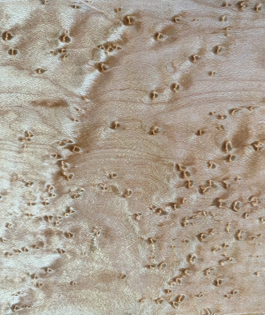 Topsheet detail.