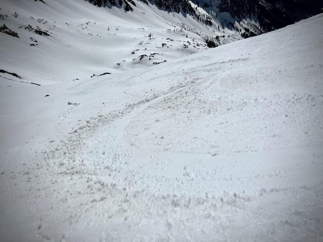 It seems here, with a gouge evident from the ski tracks, that the timing may have been too late.