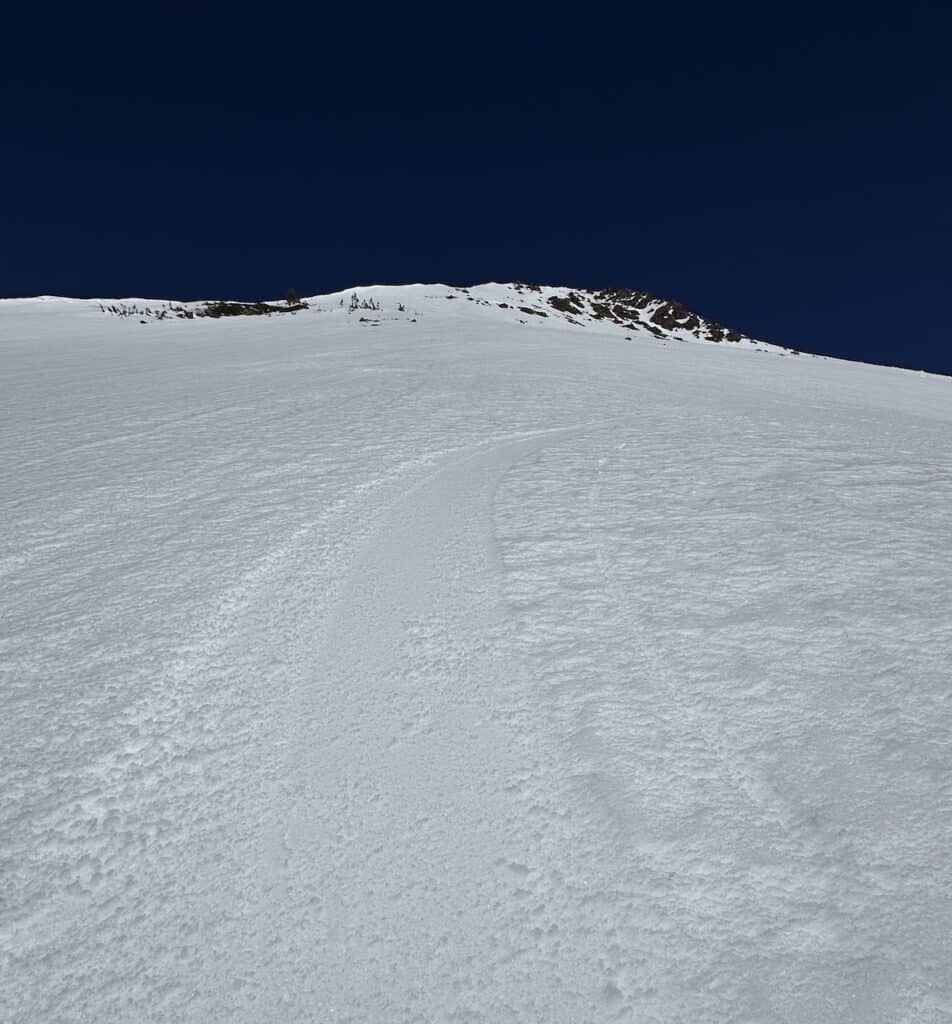 A light skiff of soft snow on a supportable surface. The tracks will be gone with another freeze-thaw cycle.